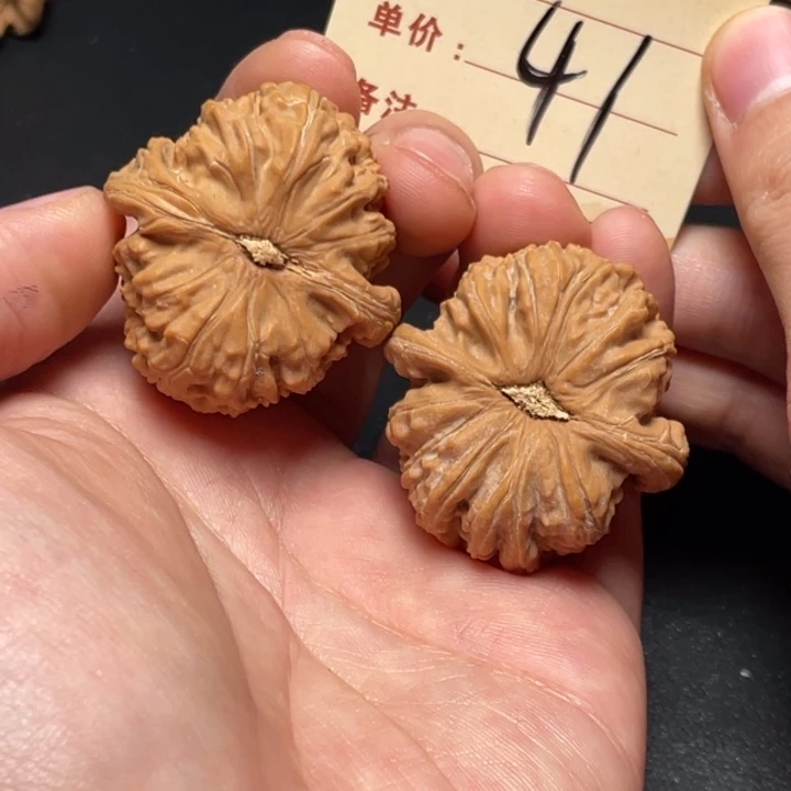 把件文玩核桃白狮子38尺全品白茬41