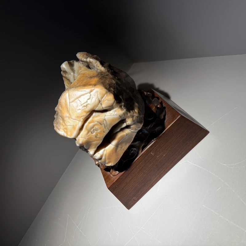 阿拉善戈壁石摆件20-340不包邮