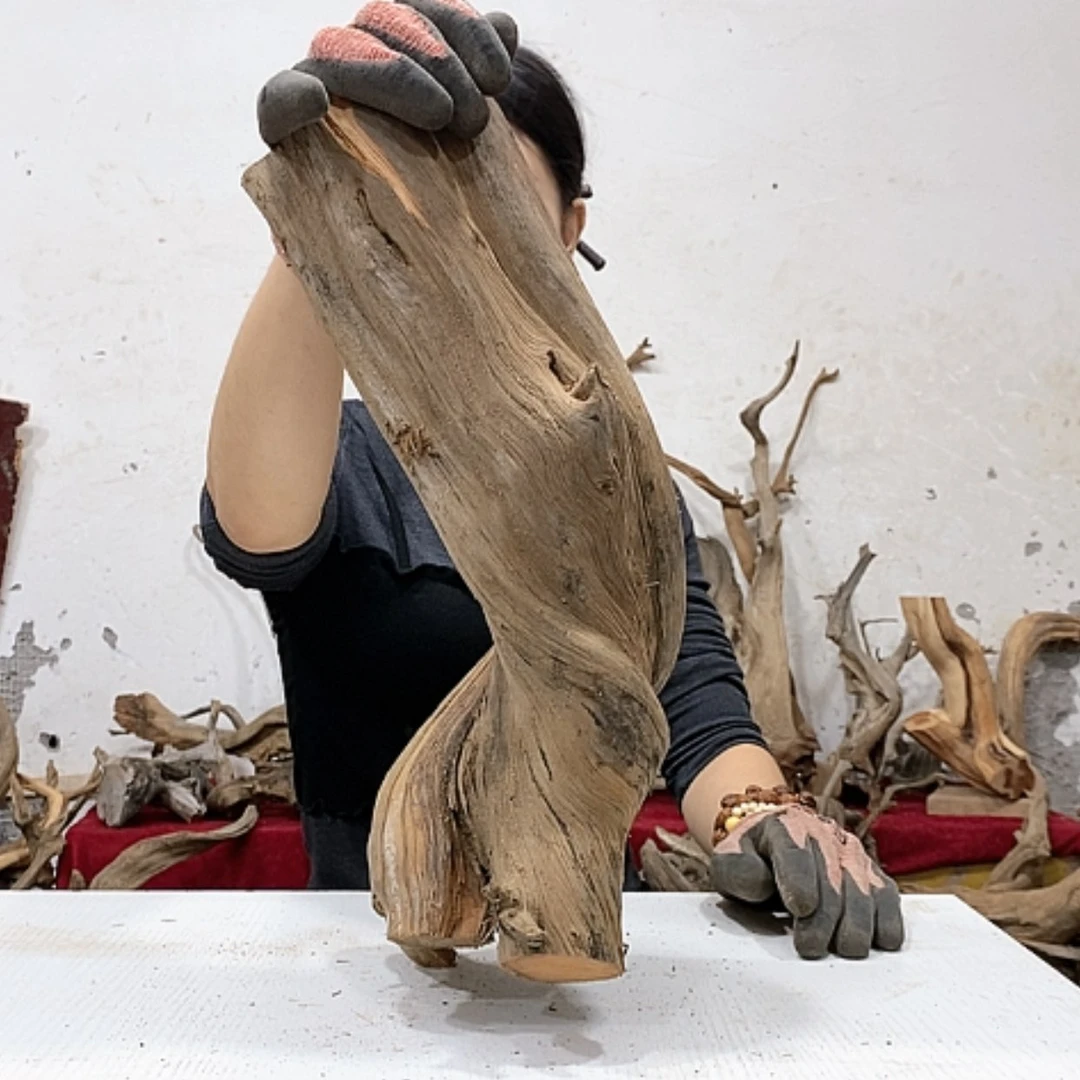 【闪购商品】柏木精*龙我们都是好孩子