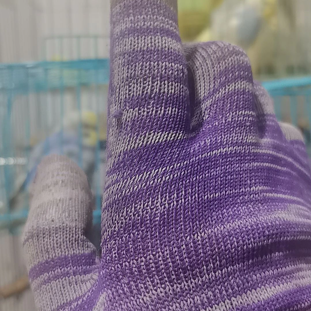 虎皮鹦鹉李庆福利666666