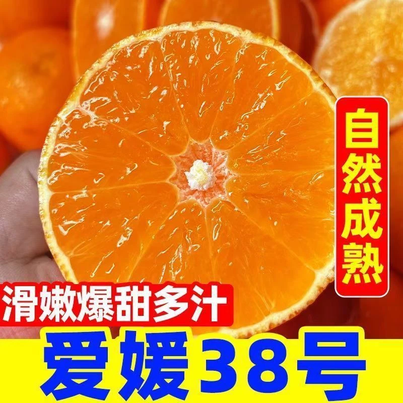 2025新鲜水果正宗四川爱媛38号果冻橙新鲜水果现摘现发爆甜多汁