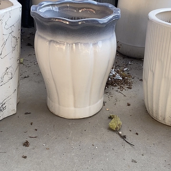 渐变灰南瓜中口25高32福利