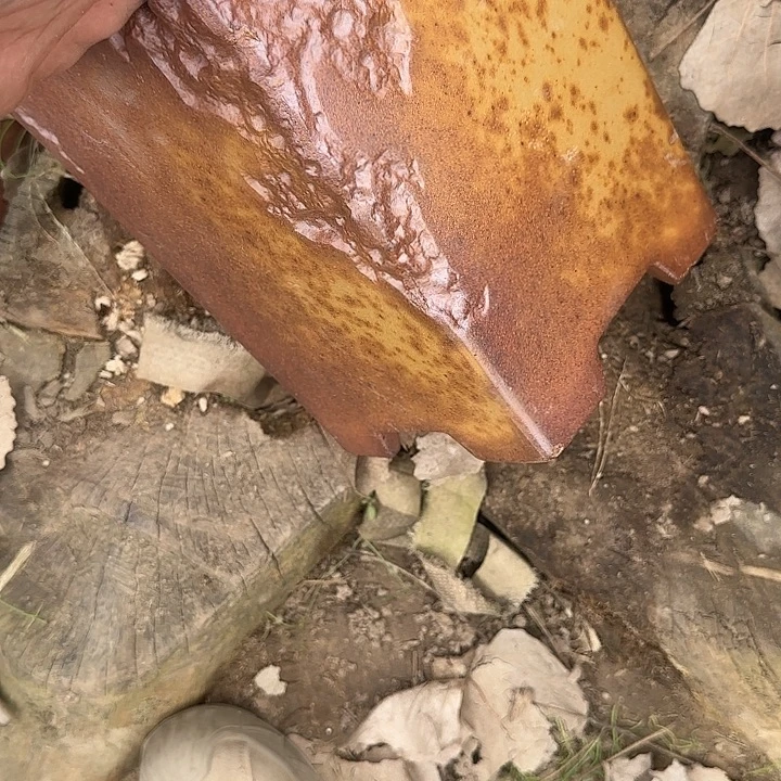是你给她打个电饭煮