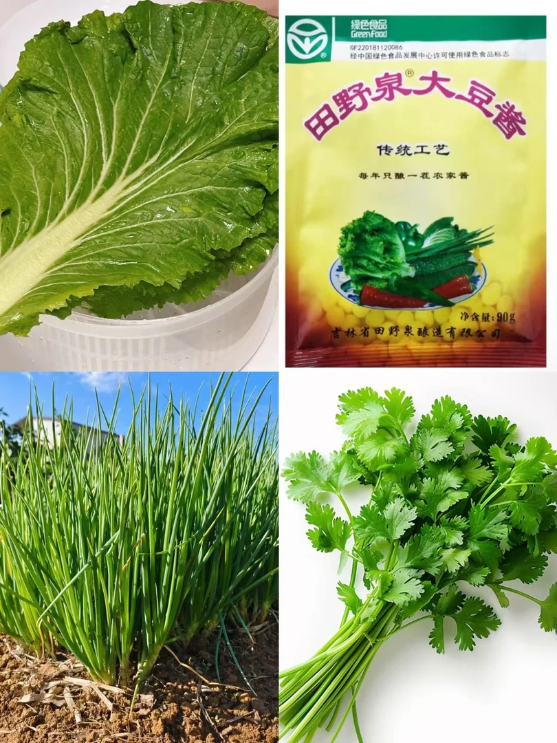 东北大白菜叶包饭包新鲜家庭现摘现发绿叶蘸酱菜