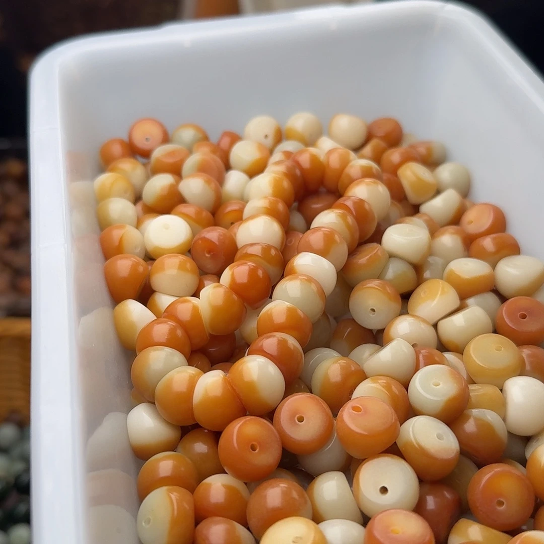 吊坠菩提根/象牙果50 颗蛋黄蒜瓣 14