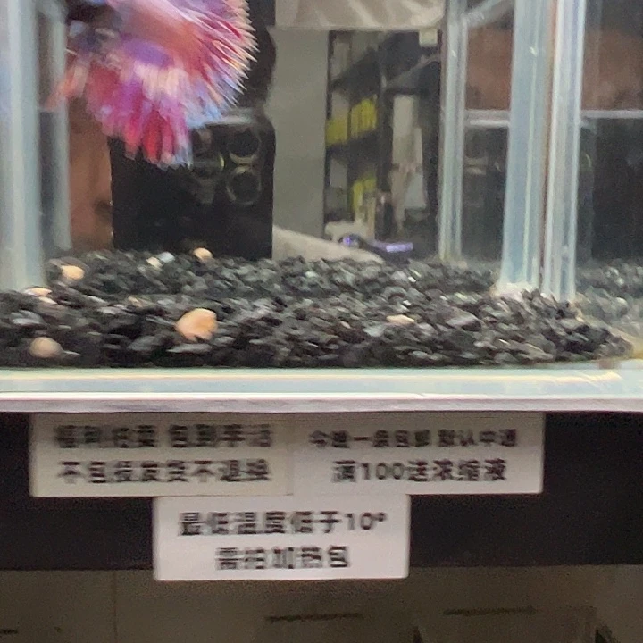 斗鱼跑单拉黑二十日29