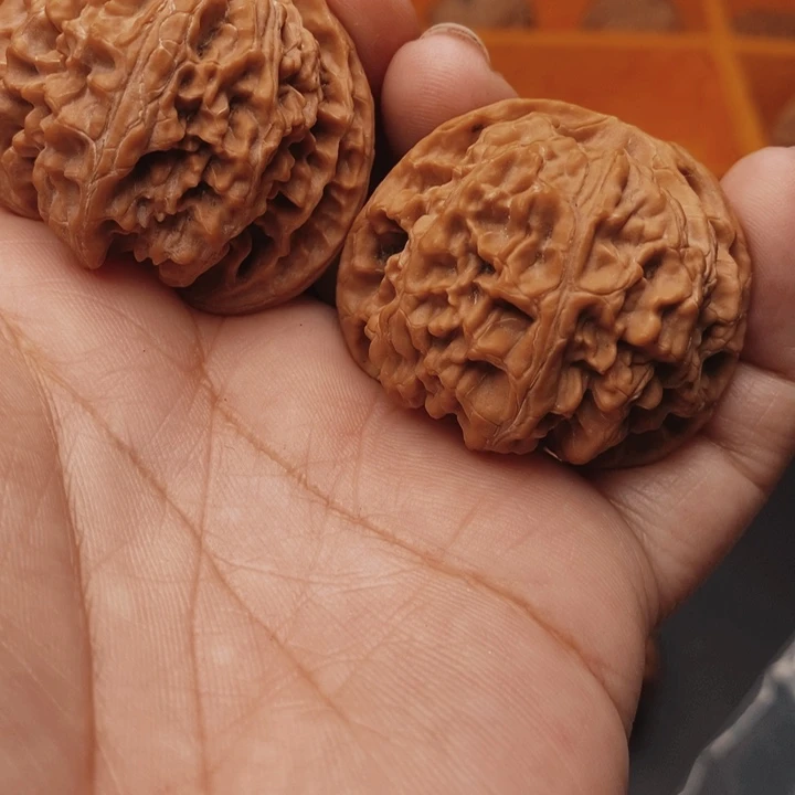 核桃苹果41尺核桃