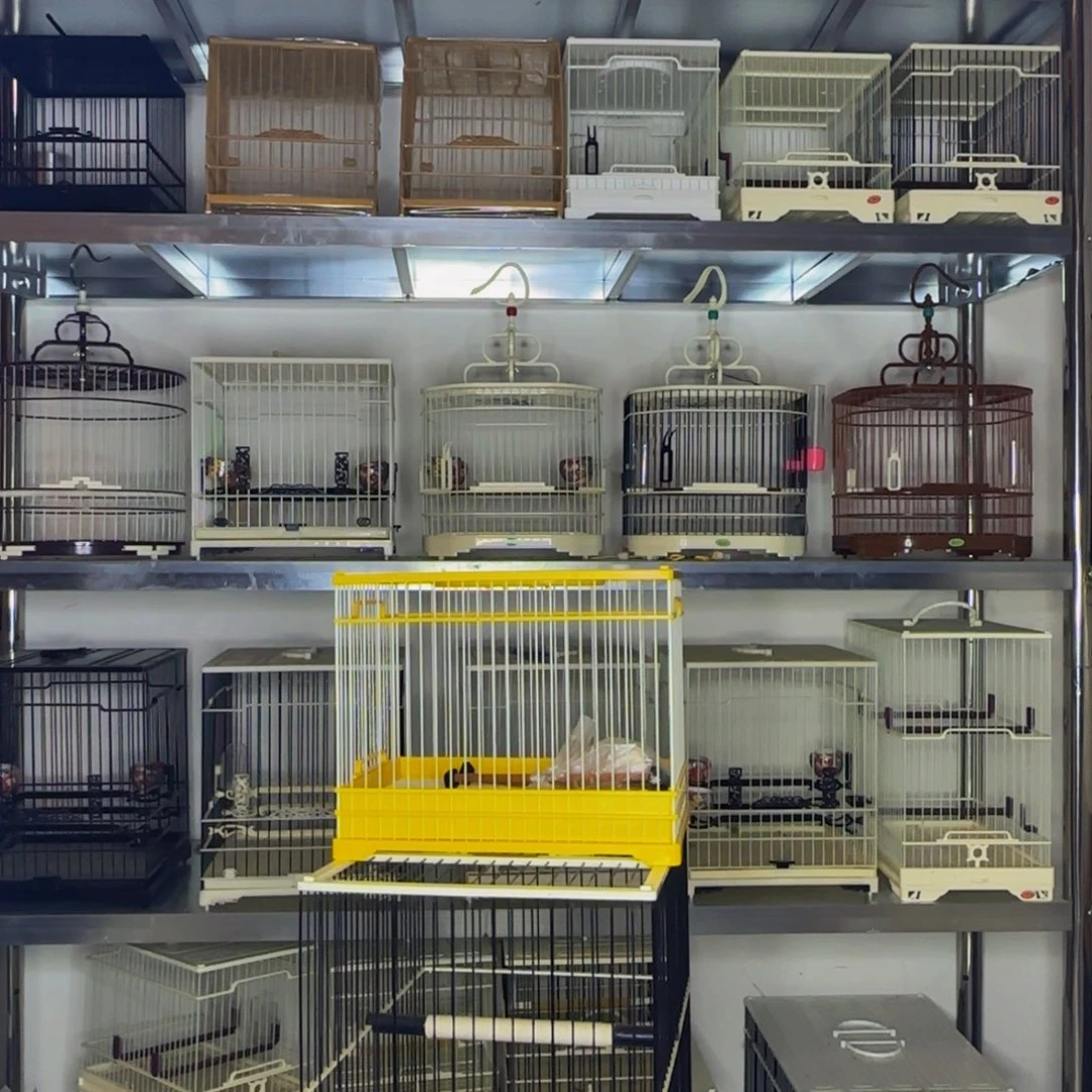 普***"塑料聚星飞龙黑丝亮顶