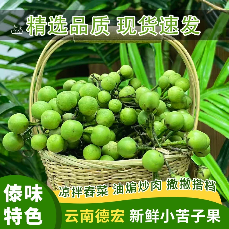苦子果新鲜苦茄现摘撒苤苦水苦果油煎生食金纽扣山颠德宏特产果子