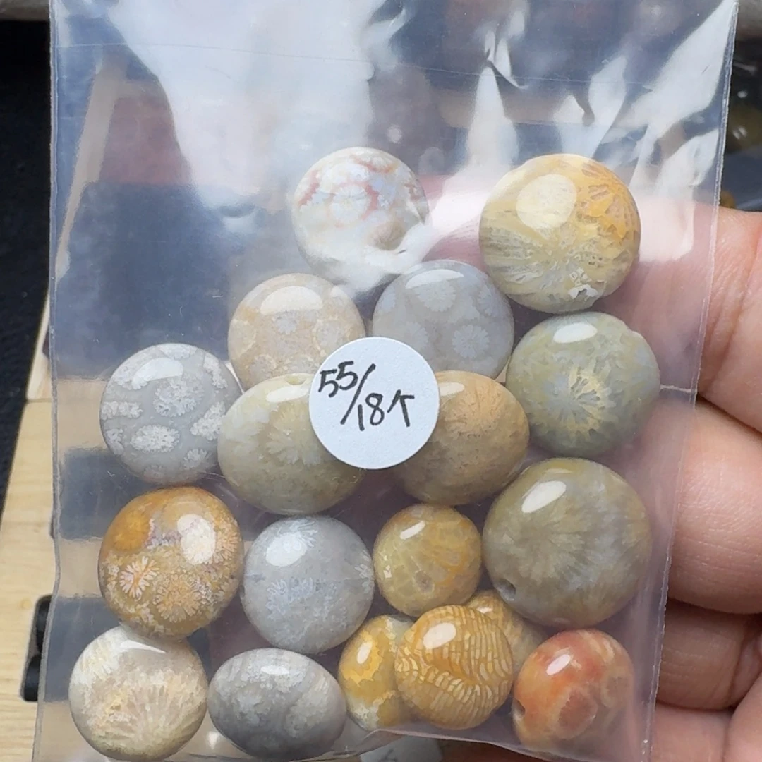 硅化珊瑚（珊瑚玉）未镶嵌纯天然色有机玉石保真色福利不退换