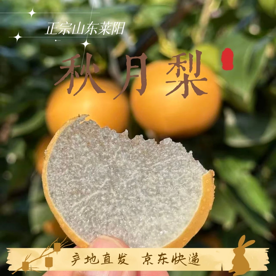 【京东快递】正宗山东莱阳秋月梨细腻化渣，清甜多汁产地直发