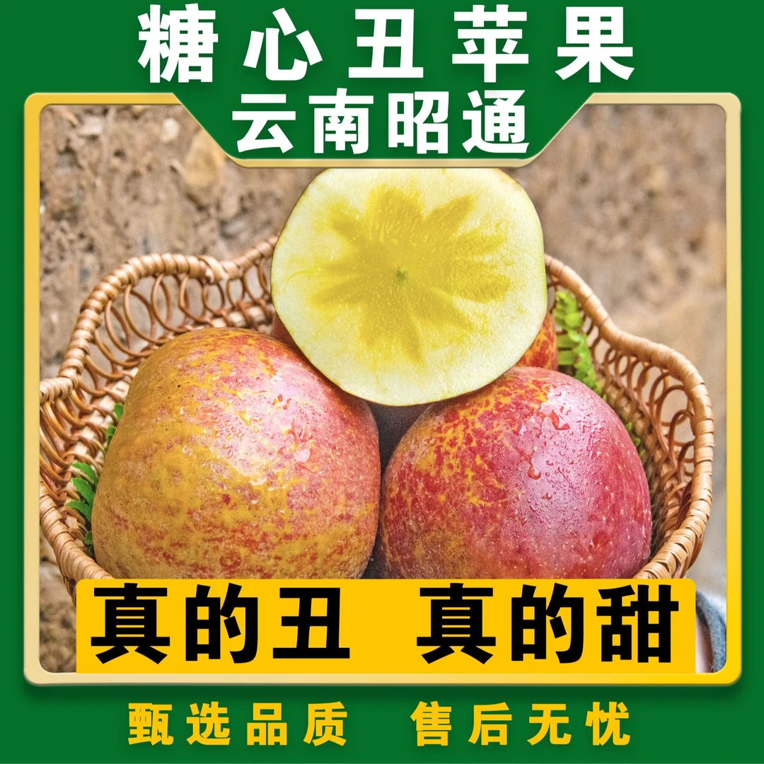 【丑苹果】新鲜现摘正宗农家云南昭通丑苹果冰糖心纯甜多汁
