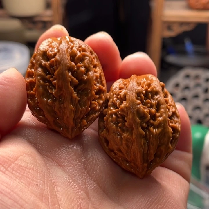 文玩核桃把件楸大胖12