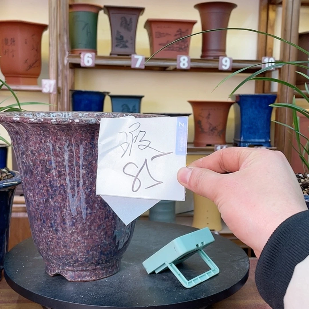 【闪购商品】紫砂花盆S****)兰花445554486555555555
