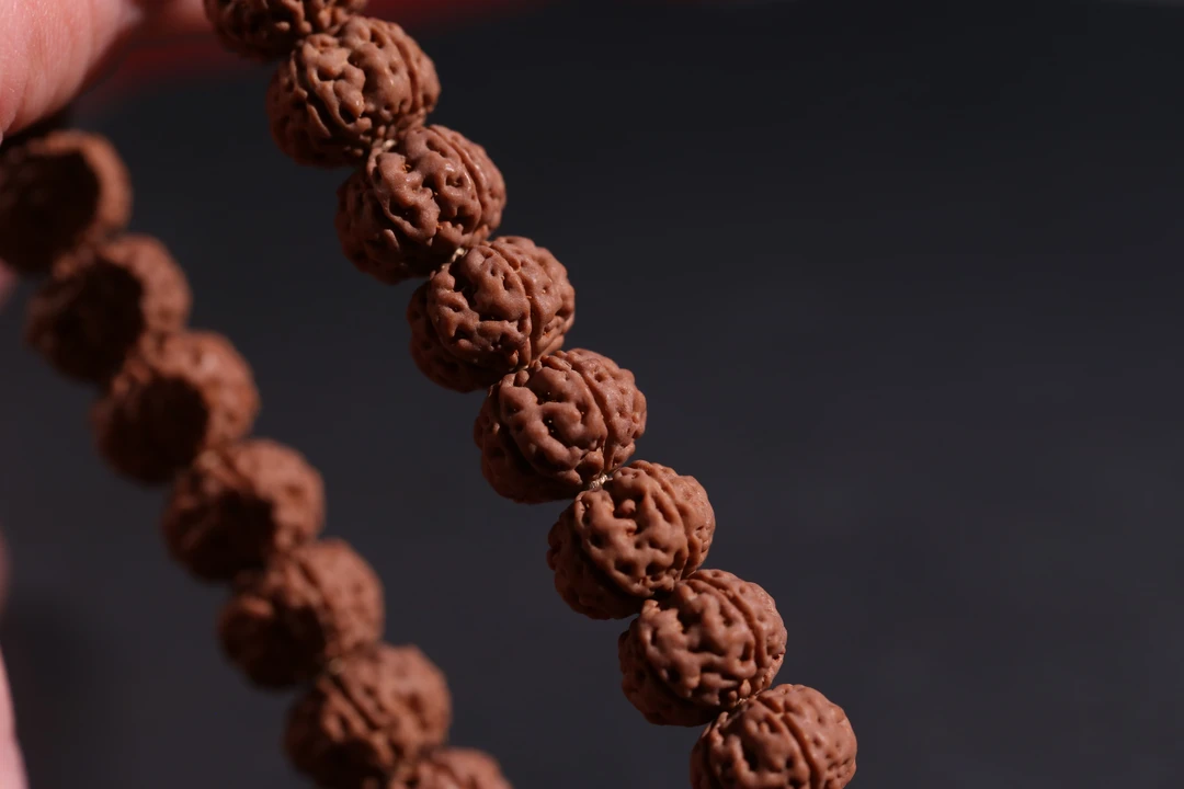 【薈供】金刚菩提 树王手串