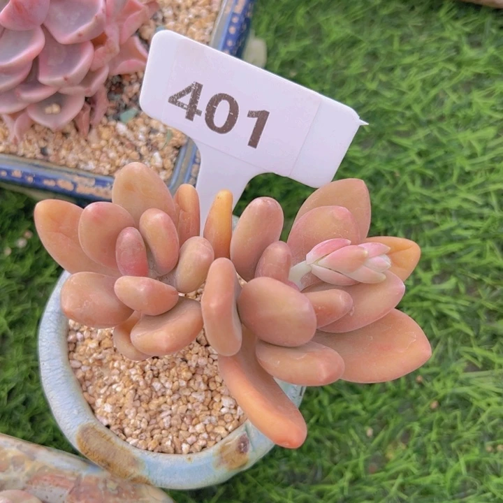 健健康康平平安安