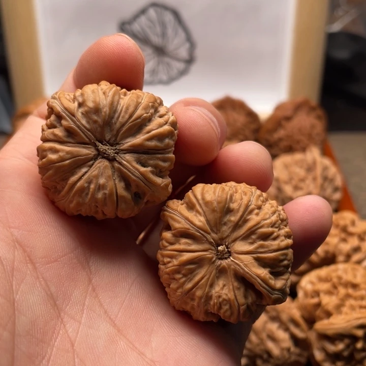 核桃金蝉子平底锅文玩核桃