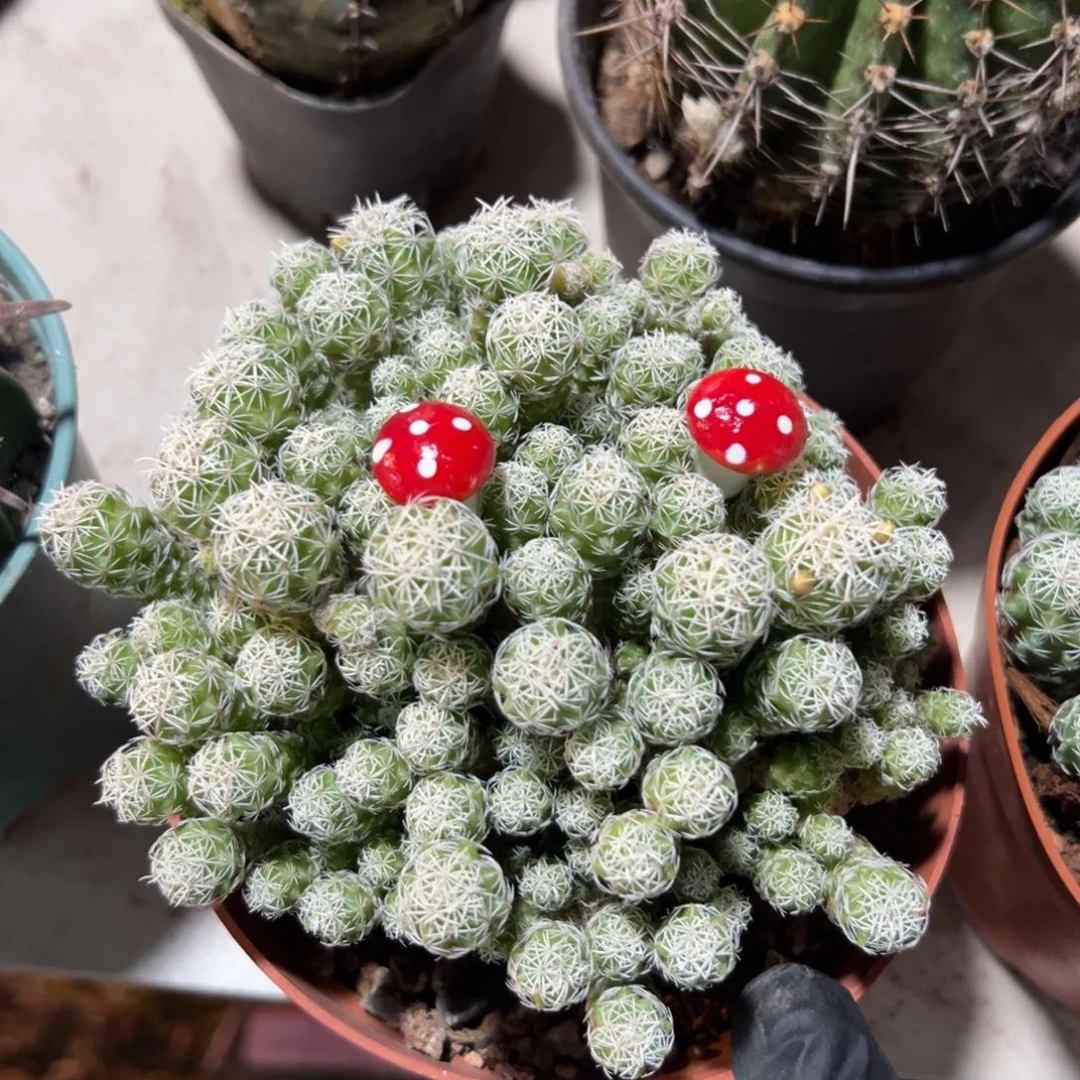 小***丶哈哈哈哈哈哈哈哈哈哈哈哈