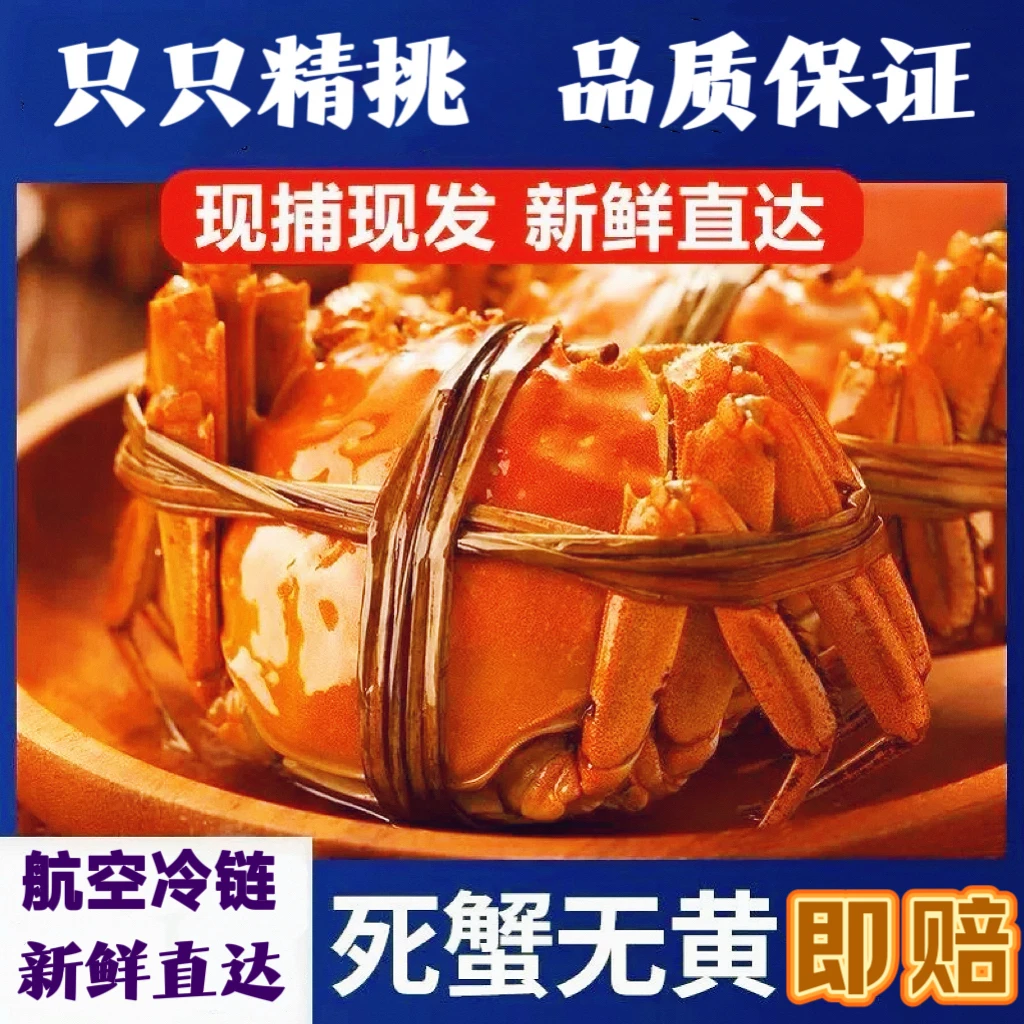 [活蟹]兴化大闸蟹 精品母蟹2.8-3.1两公蟹3.4-3.7两8只装顺丰包邮