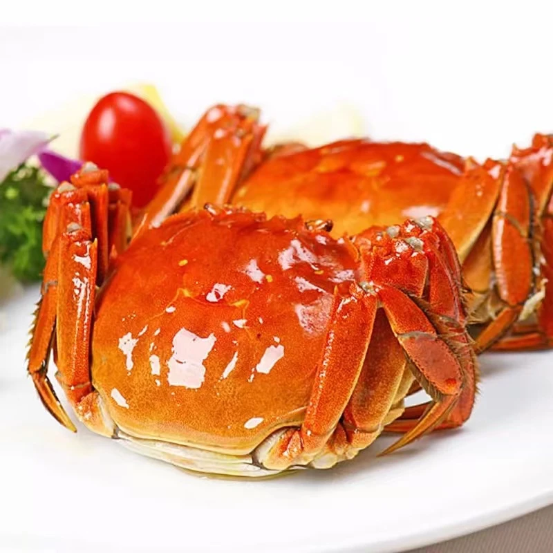 【活蟹】苏州精品大闸蟹公5.3-5.0两  母4.3-4.0两5对10只现捕现捞