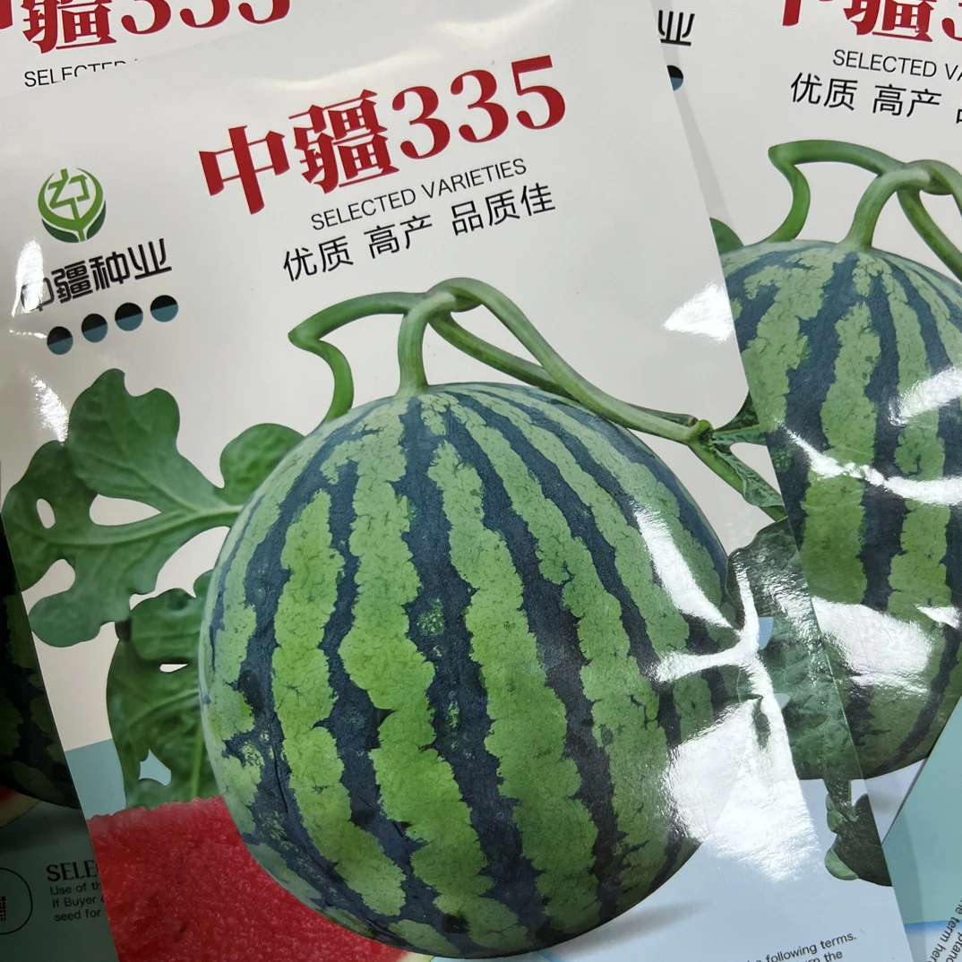 中疆335西瓜种子抗病高产糖度高口感酥脆耐储运品质佳脆甜多汁
