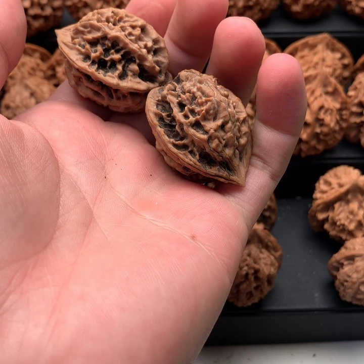 其他核桃用****0秦岭的森林