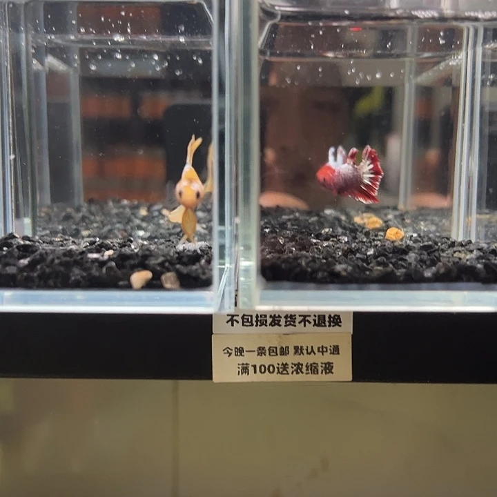 斗鱼竞拍跑单拉黑18日42+107