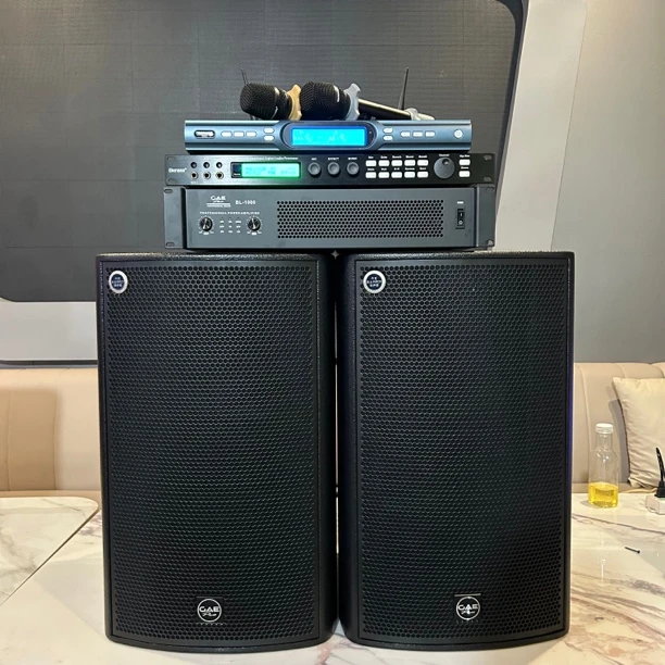 9新  （包邮）鼎泰丰高端进口RCF单元12寸音响四件套