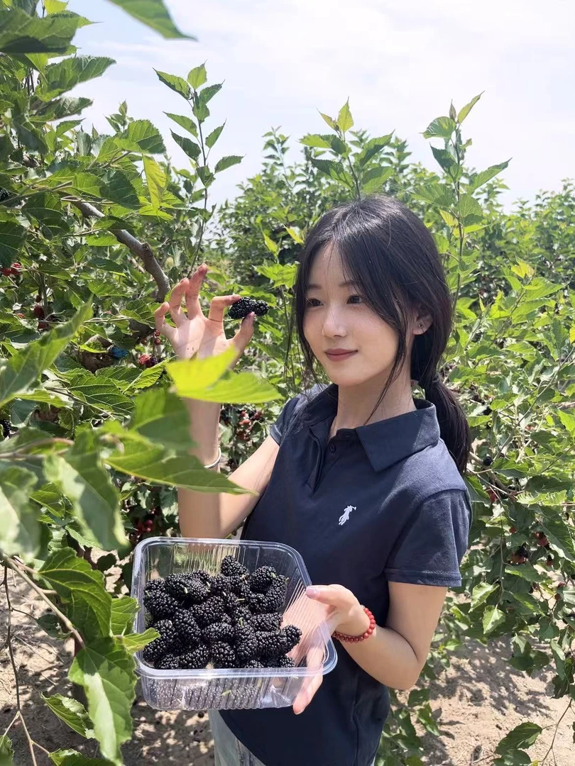 翻领小马polo衫94097