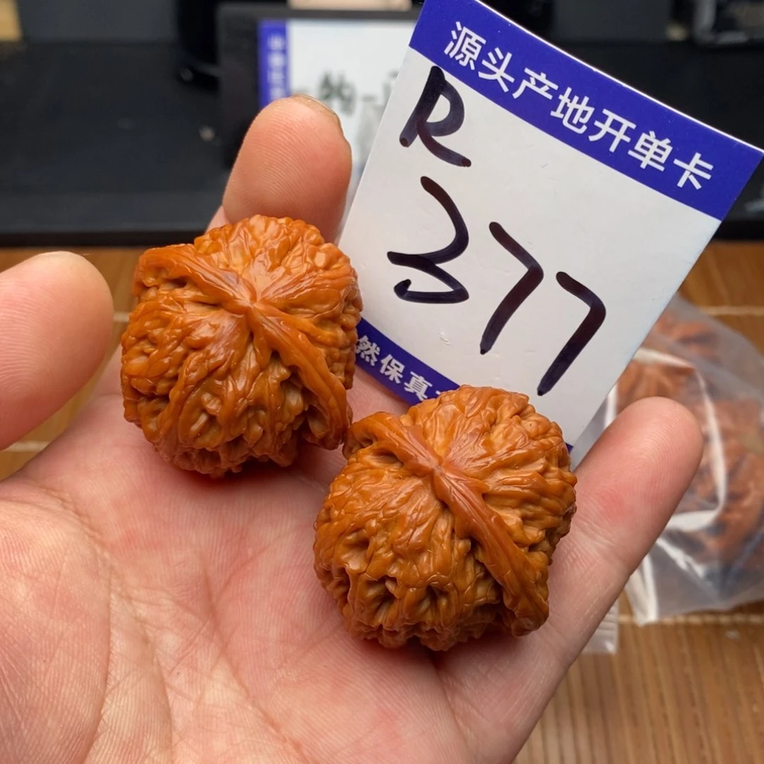 把件文玩核桃白狮子38尺