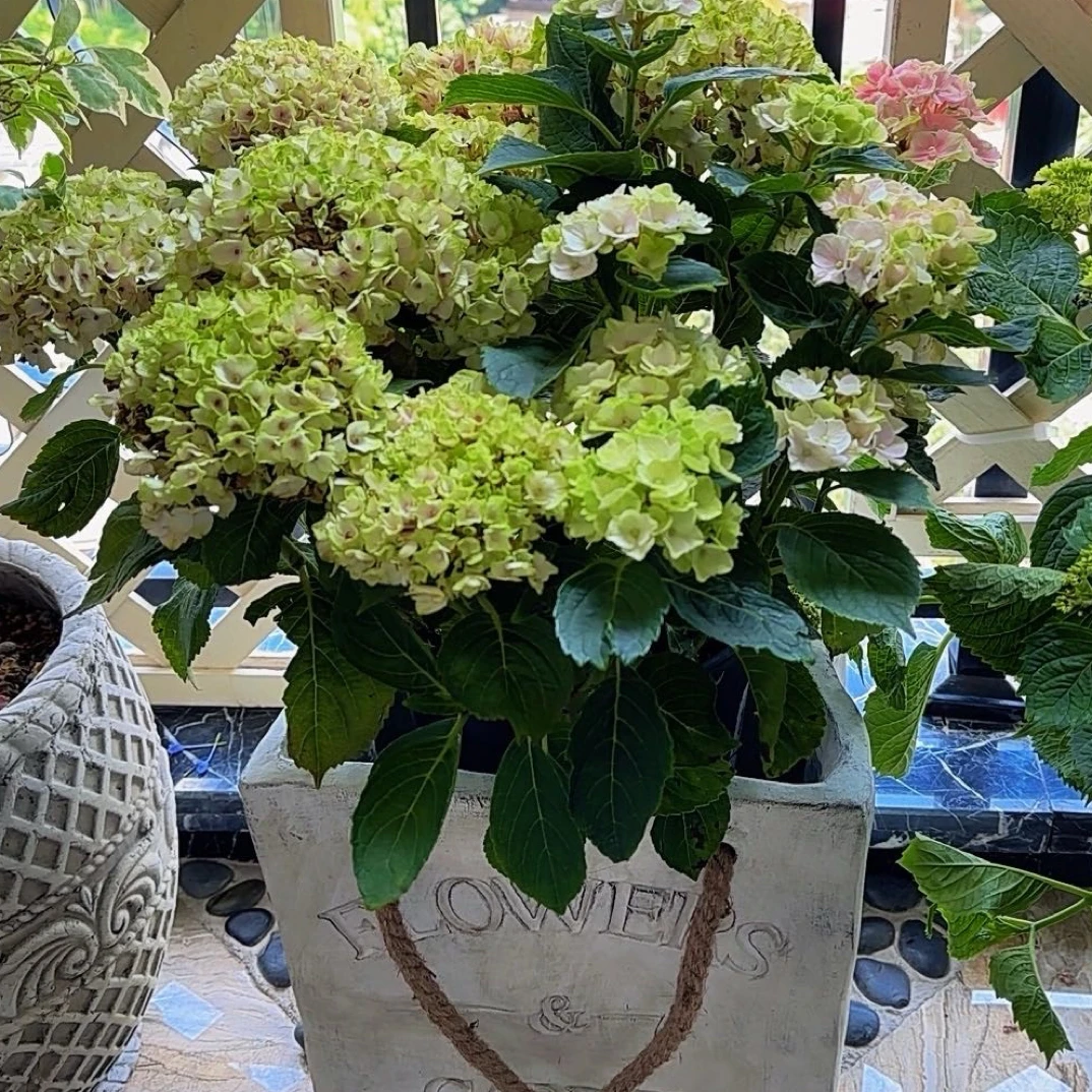 欧式创意袋子花盆长方形花盆户外庭院阳台家用花园装饰大号花箱