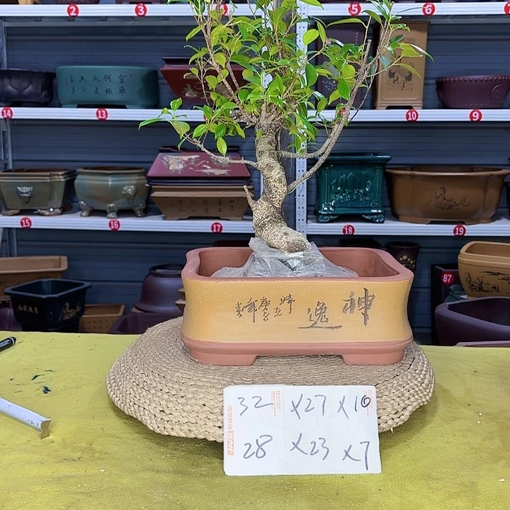 花盆紫砂宜兴紫砂厂