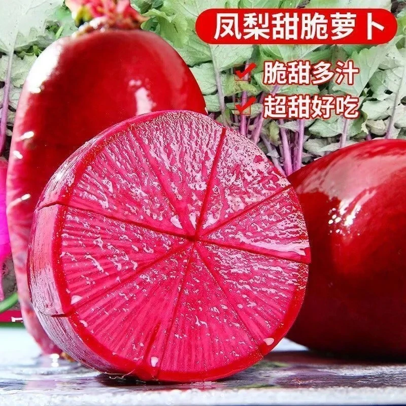 凤梨脆甜水果萝卜种子 春秋季播蔬菜籽 紫红多汁生吃易种植菜园孑