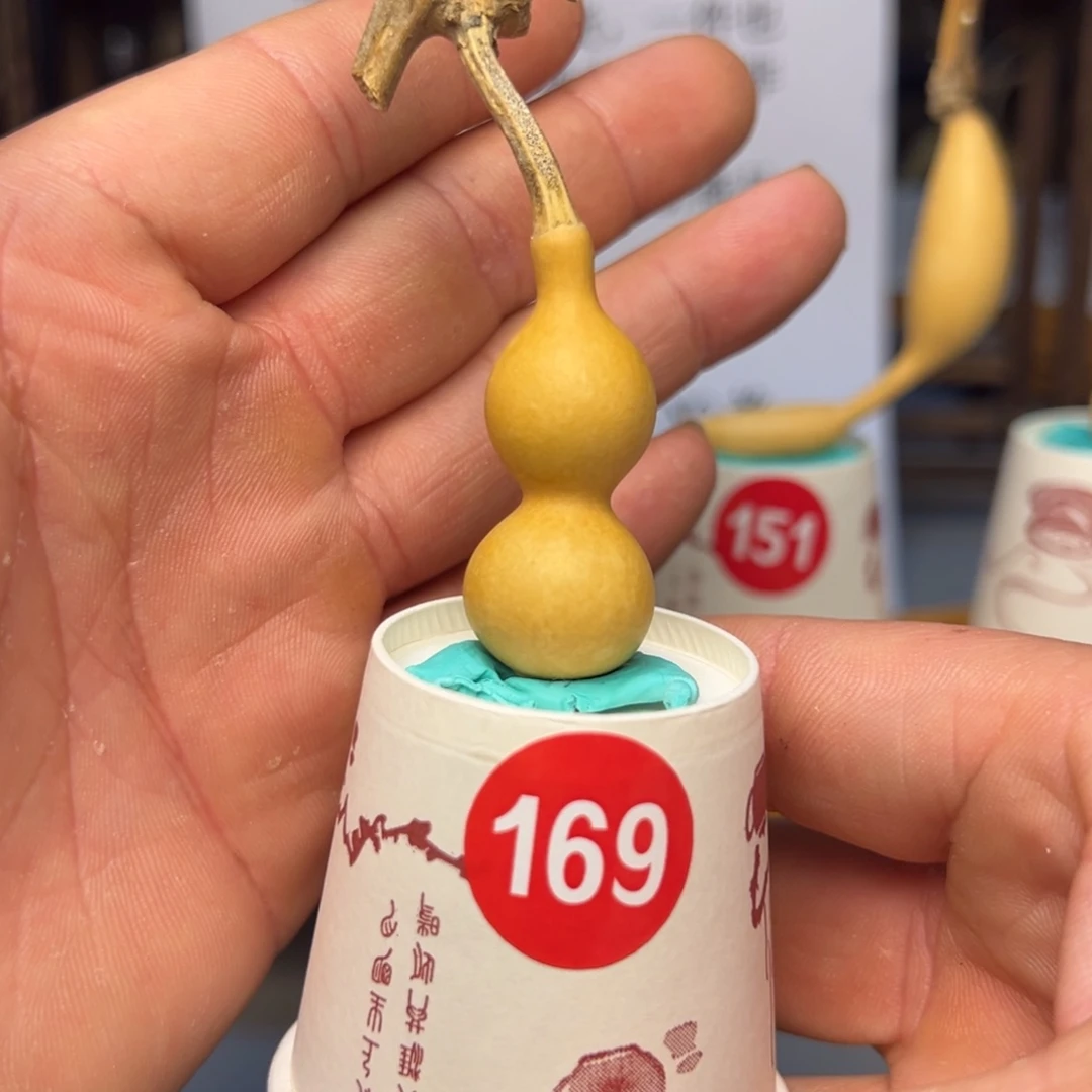 闪电购自助下单编号169