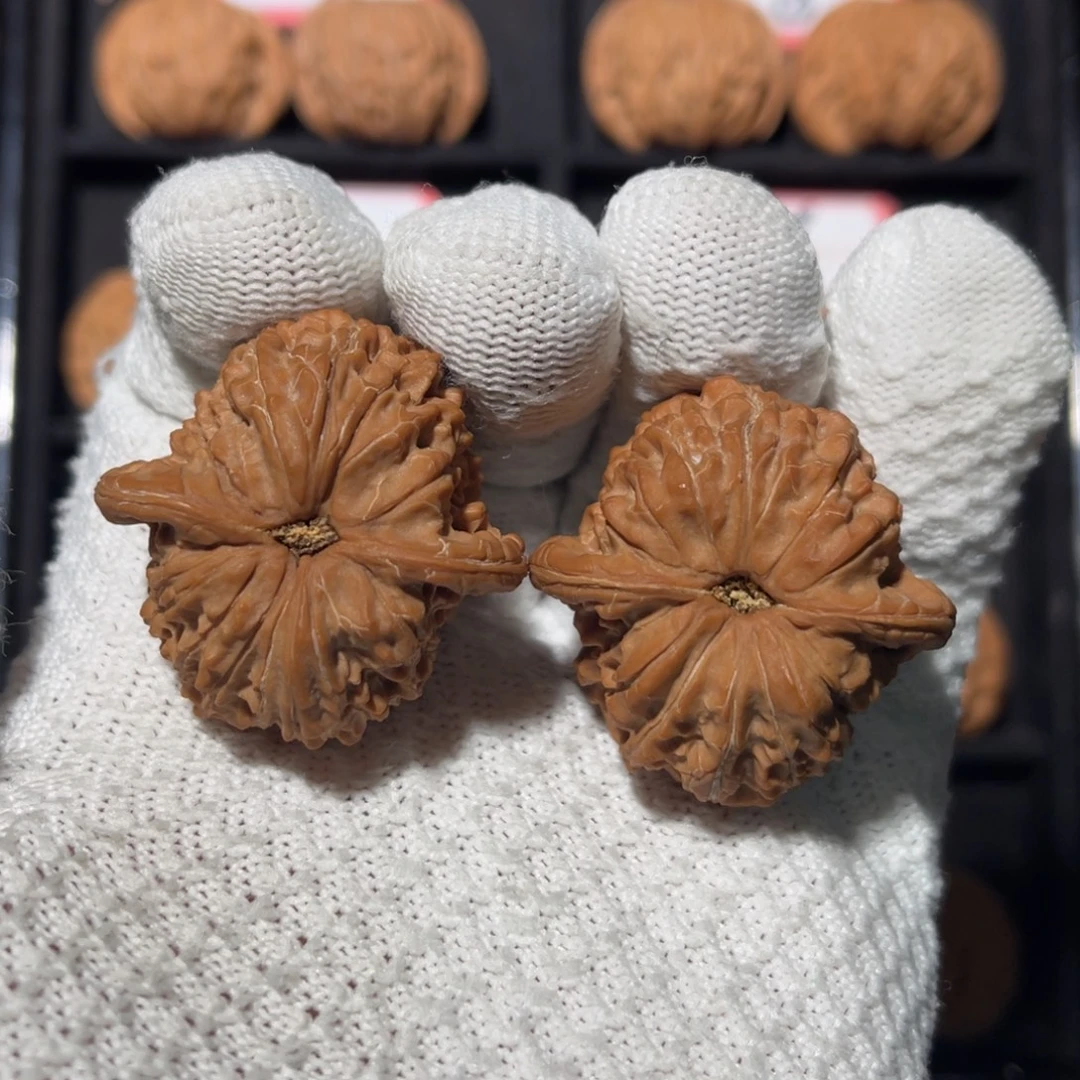 文玩核桃吊坠01秦皇岛山地果全品血麒麟