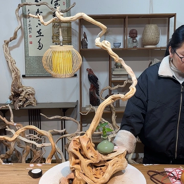 眼***！香榧木杜鹃根根艺摆件