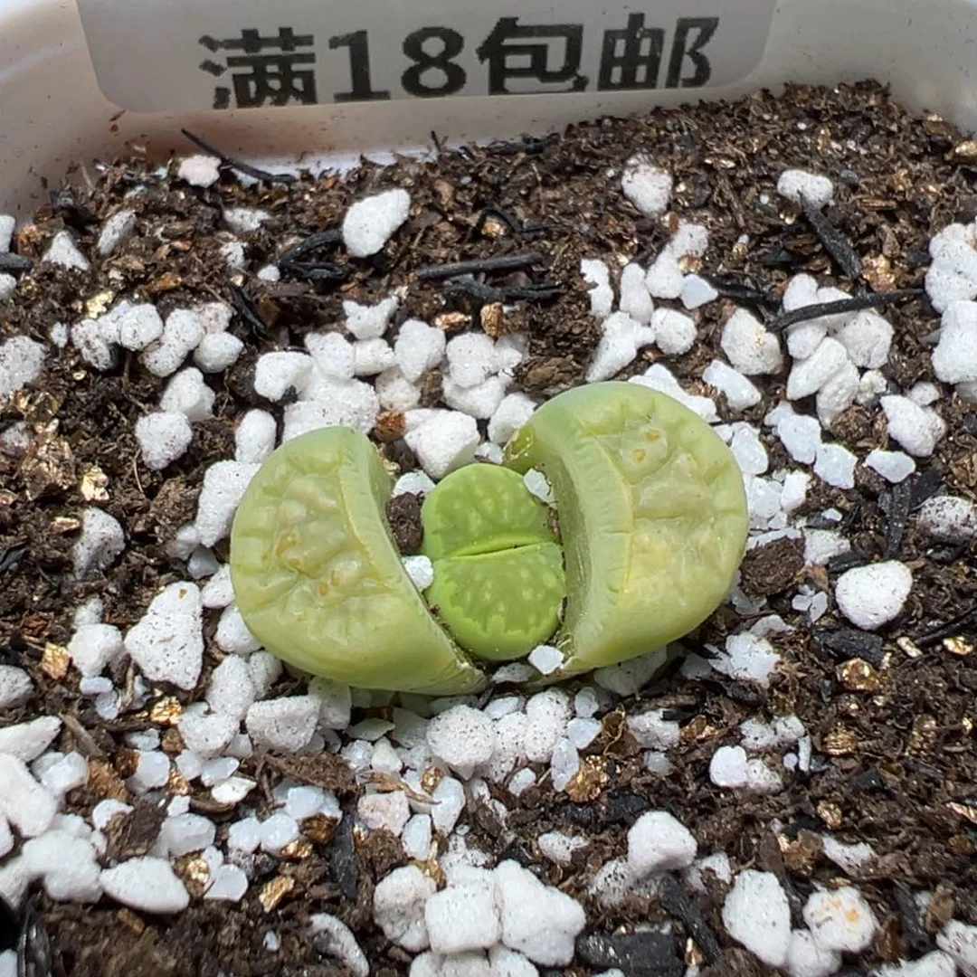 【闪购商品】 351。
