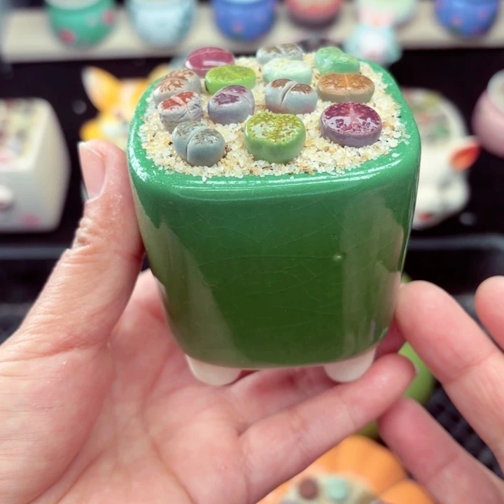 504零下地区记得拍保温箱