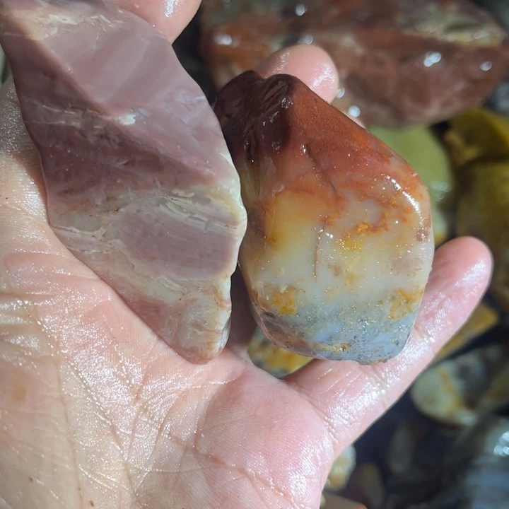 云***哥寿山石8888888888888