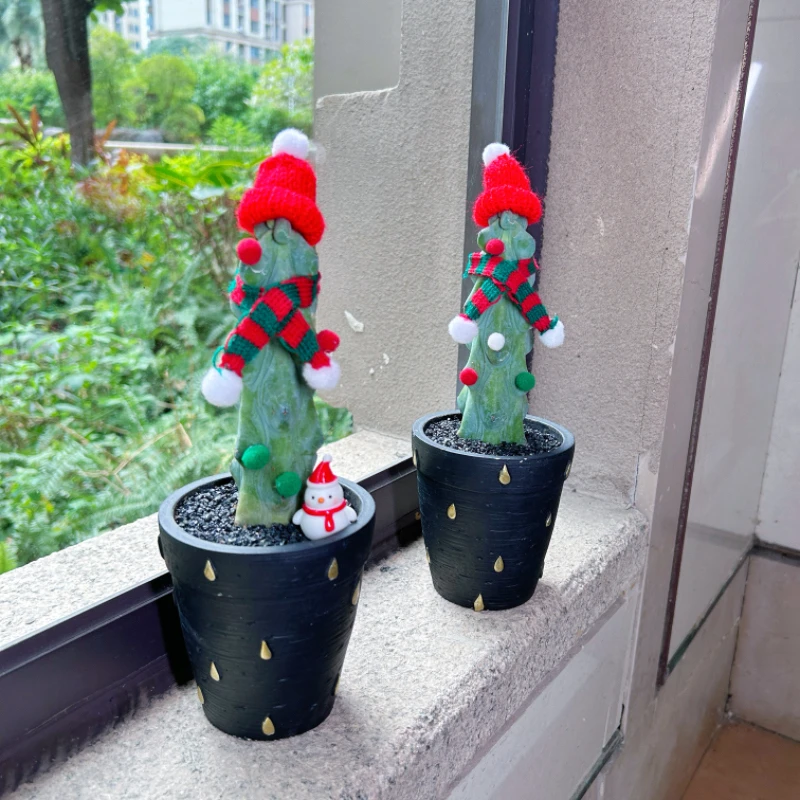 圣诞福禄寿仙人柱盆栽室内客厅办公室绿植创意桌面耐旱好养植物