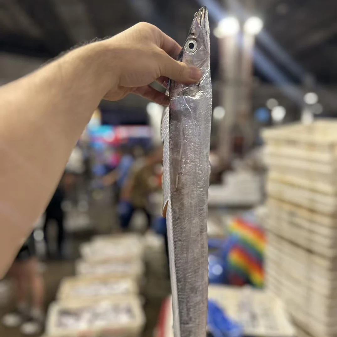 【钓带四斤】东海野生钓带4斤新鲜带鱼4斤