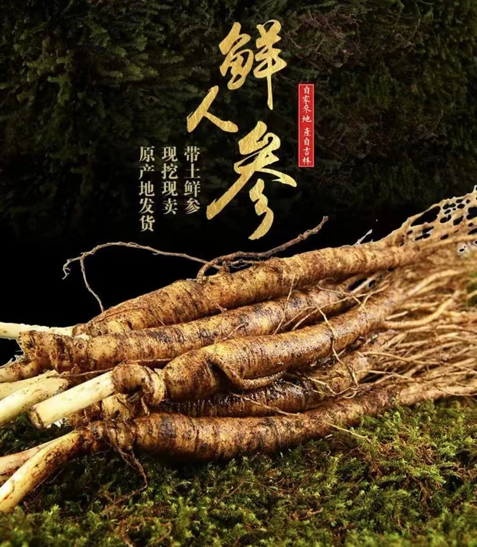 长白山新鲜人参 吉林人参煲汤泡水泡酒（BM）