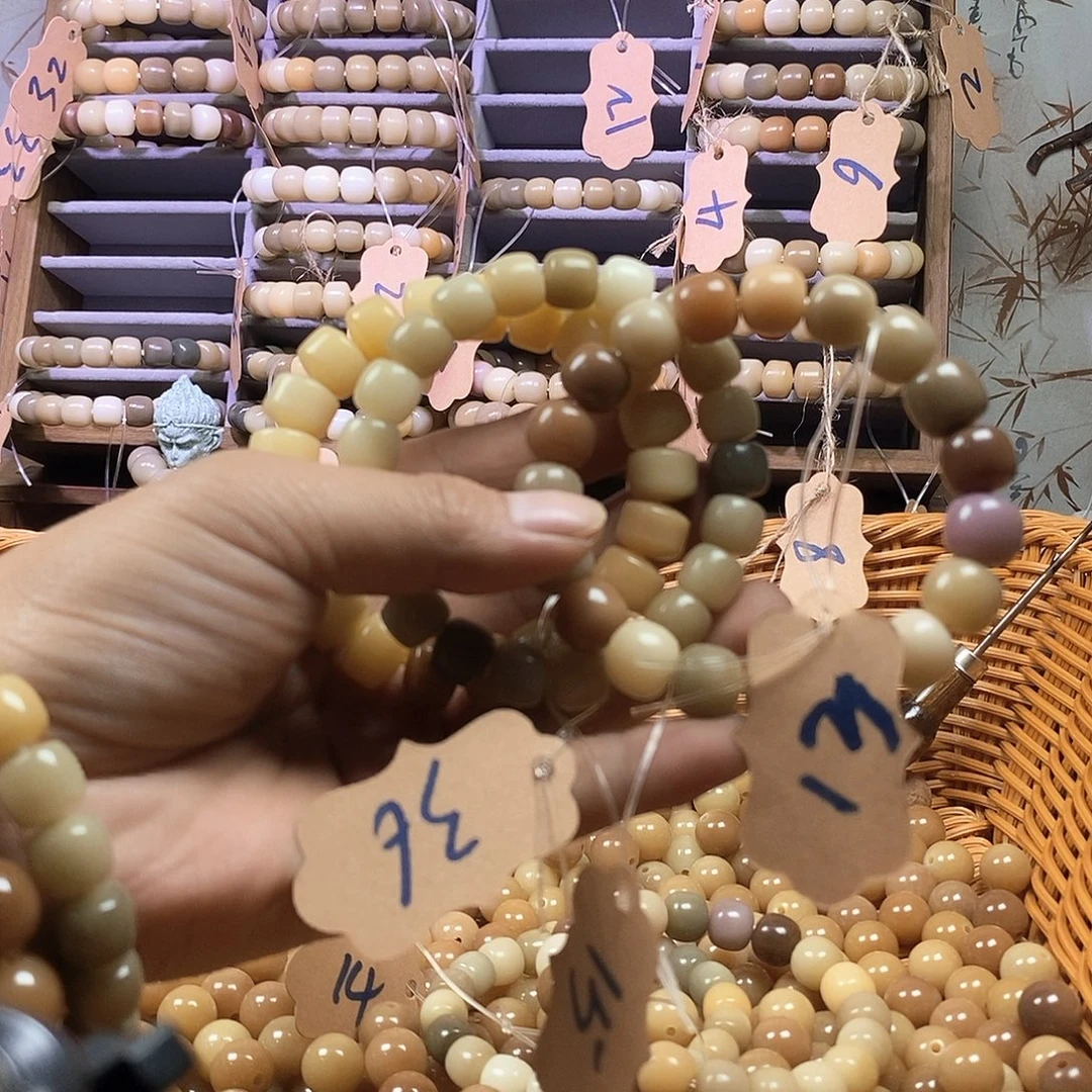 吊坠菩提根/象牙果