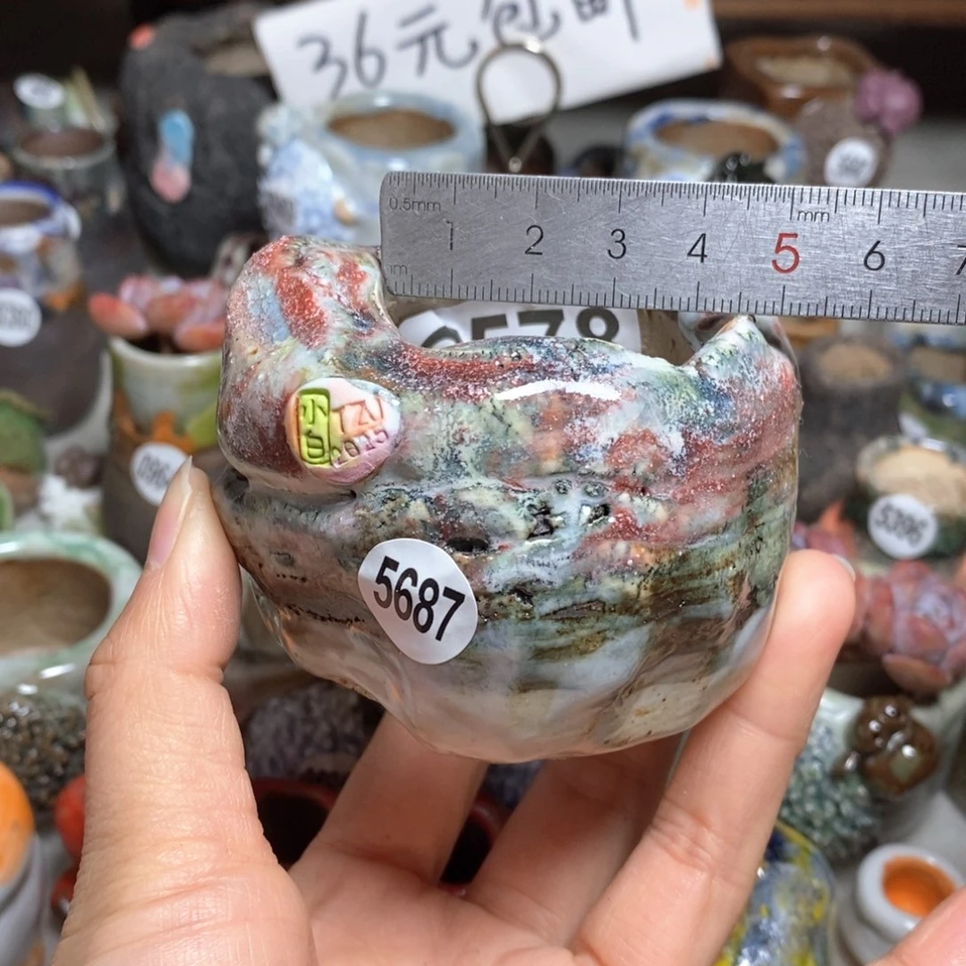拍1送一个小礼物