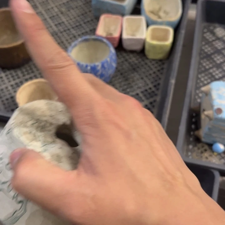 红陶菡*我的心好痛钱都没了