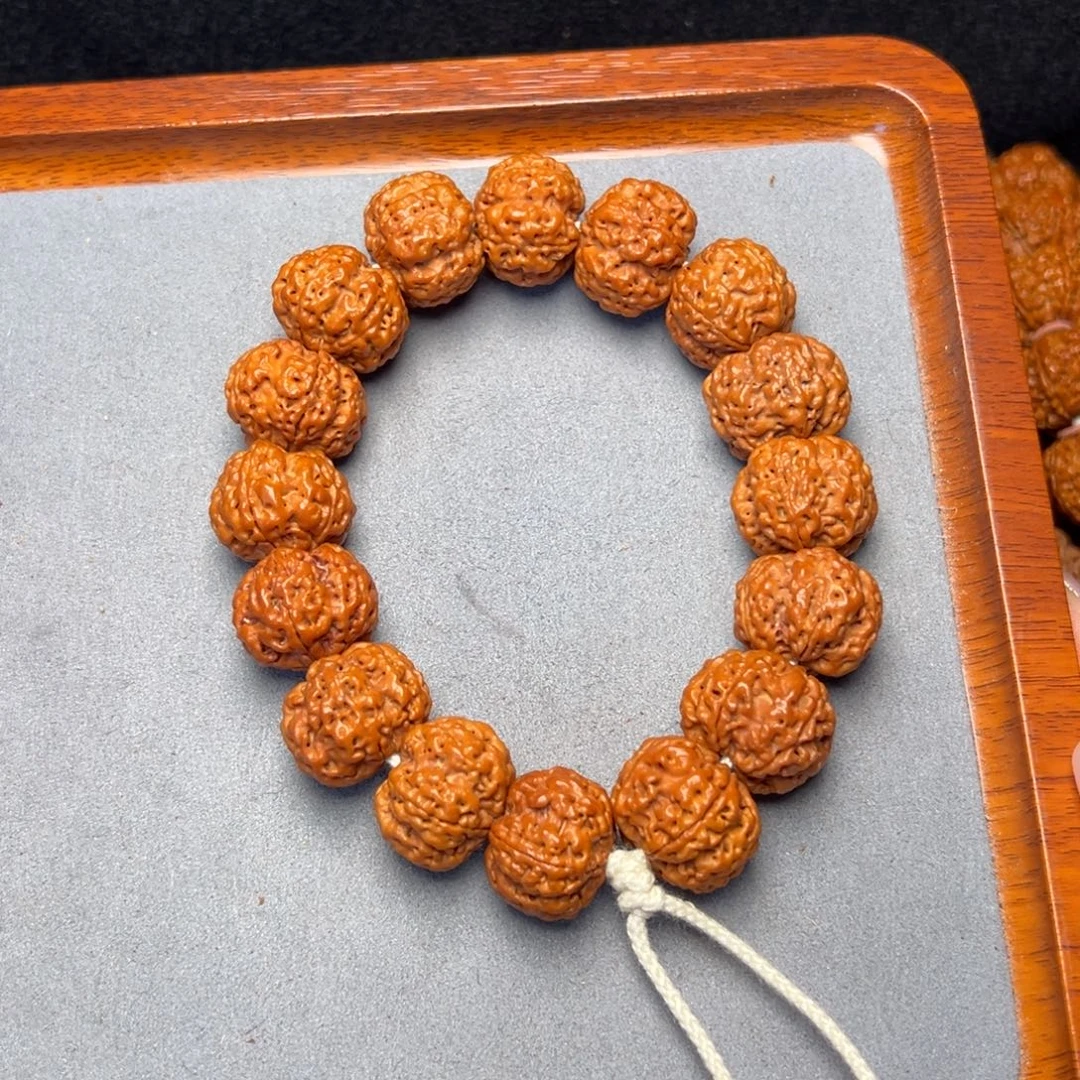 菩提36号金刚菩提满肉双龙21