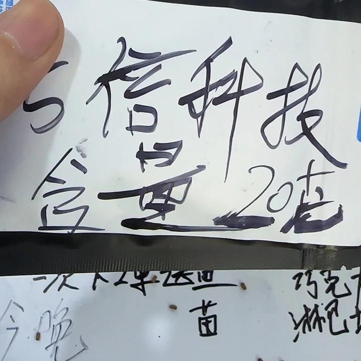 Z***.雷龙11111111111111