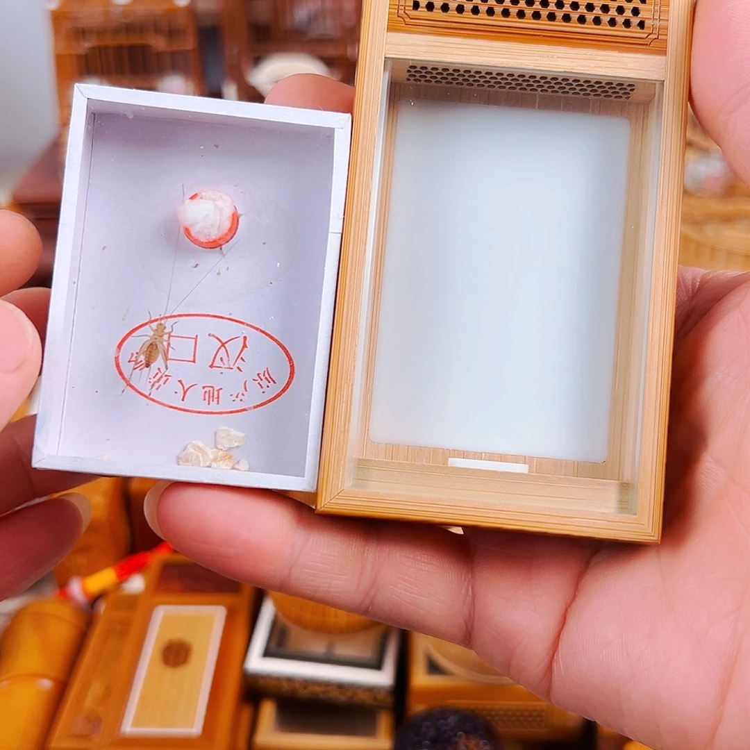 竹如意齋音箱黄蛉盒+大黄蛉