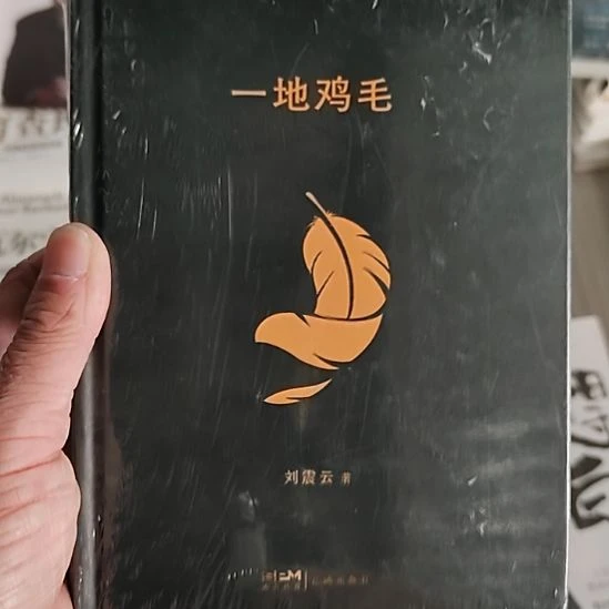 一地鸡毛一地鸡毛