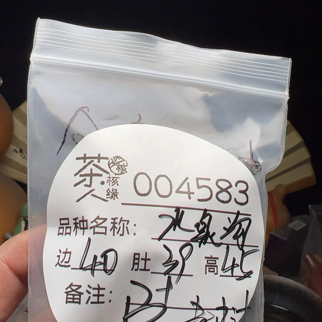 文玩核桃吊坠今天